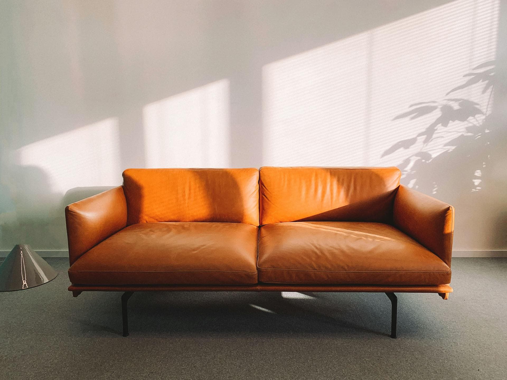 contemporary sofa